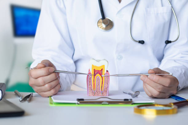 Best Broken or Cracked Tooth Emergency Dentist in Ordway, CO